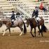 Mid-South Quarter Horse Breeders Futurity